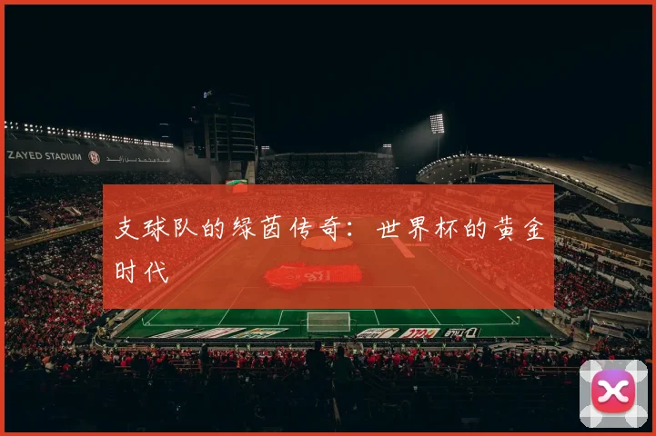 支球队的绿茵传奇：世界杯的黄金时代