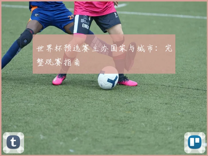 世界杯预选赛主办国家与城市:完整观赛指南