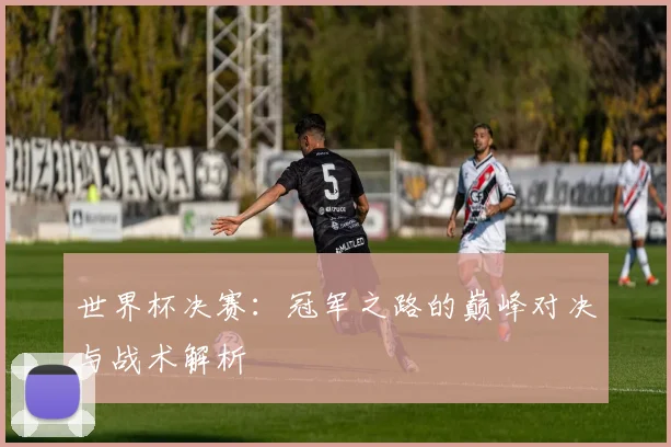 世界杯决赛:冠军之路的巅峰对决与战术解析