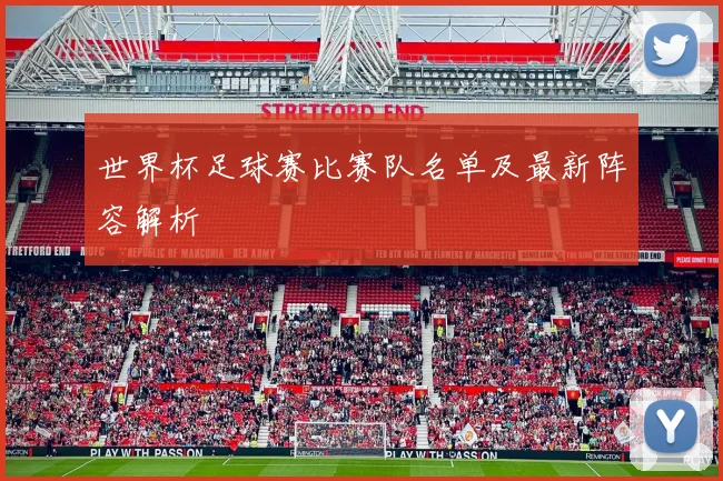 世界杯足球赛比赛队名单及最新阵容解析