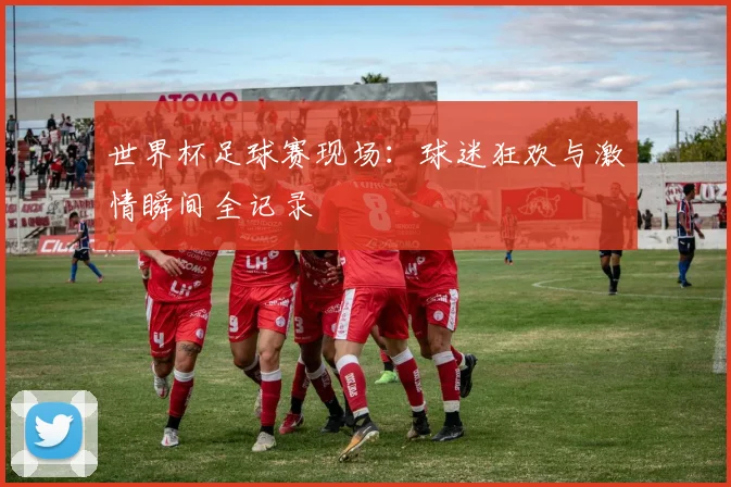 世界杯足球赛现场：球迷狂欢与激情瞬间全记录